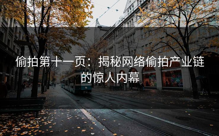 偷拍第十一页：揭秘网络偷拍产业链的惊人内幕  第1张