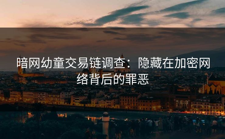 暗网幼童交易链调查：隐藏在加密网络背后的罪恶  第1张