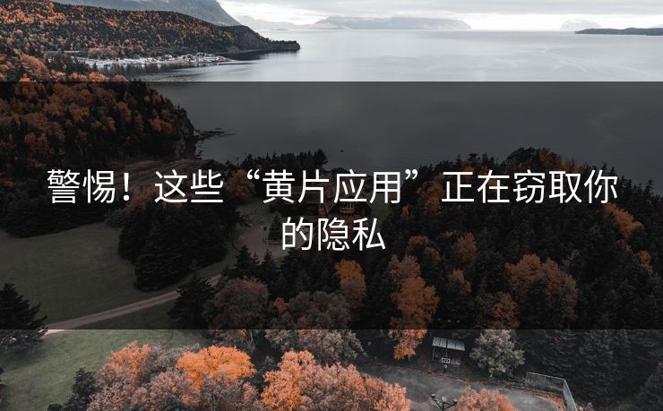 警惕！这些“黄片应用”正在窃取你的隐私