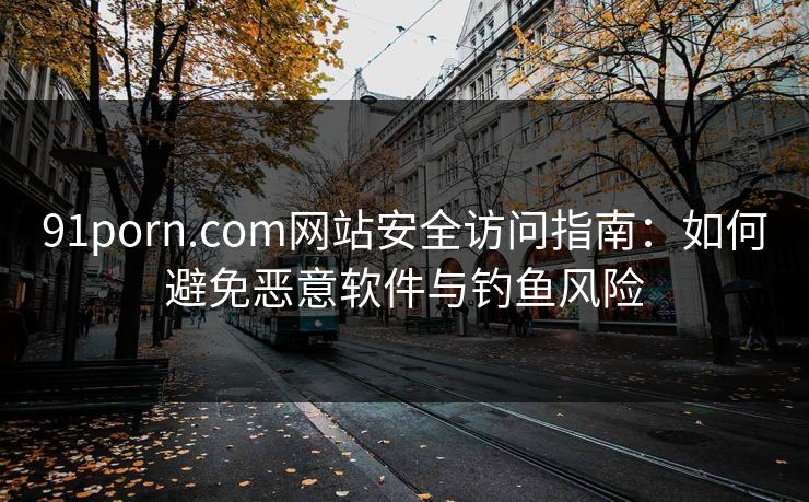 91porn.com网站安全访问指南：如何避免恶意软件与钓鱼风险