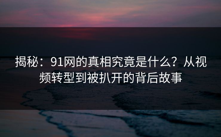 揭秘：91网的真相究竟是什么？从视频转型到被扒开的背后故事  第1张
